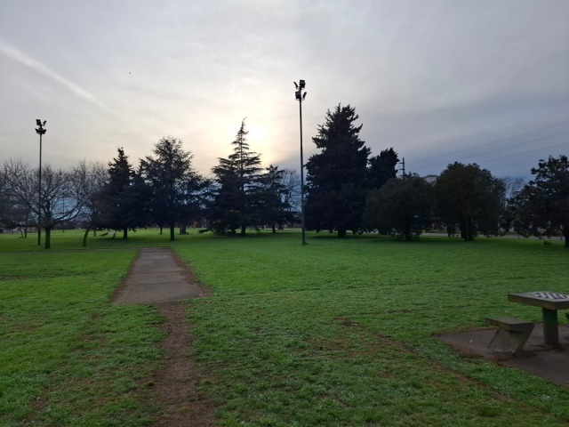 Cielo parcialmente nublado y m�xima de 16�C